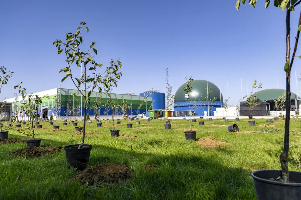 Biogas Projects - what is Biotechnology?