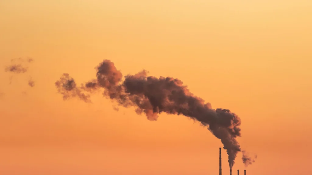 Carbon Trading for EU ETS Compliance